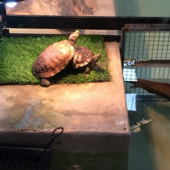 Phillips Park Zoo - Zoos Near Me - Aurora, Illinois