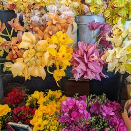 Beautiful sale flowers! Beautiful sale flowers!