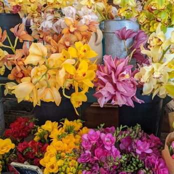 Riley's Flowers - Beautiful sale flowers! - Florists Near Me - Santa Barbara, California Riley's Flowers - Beautiful sale flowers! - Florists Near Me - Santa Barbara, California