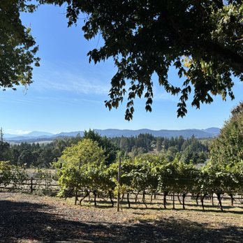 Springhill Cellars - Beautiful view - Wineries Near Me - Albany, Oregon Springhill Cellars - Beautiful view - Wineries Near Me - Albany, Oregon