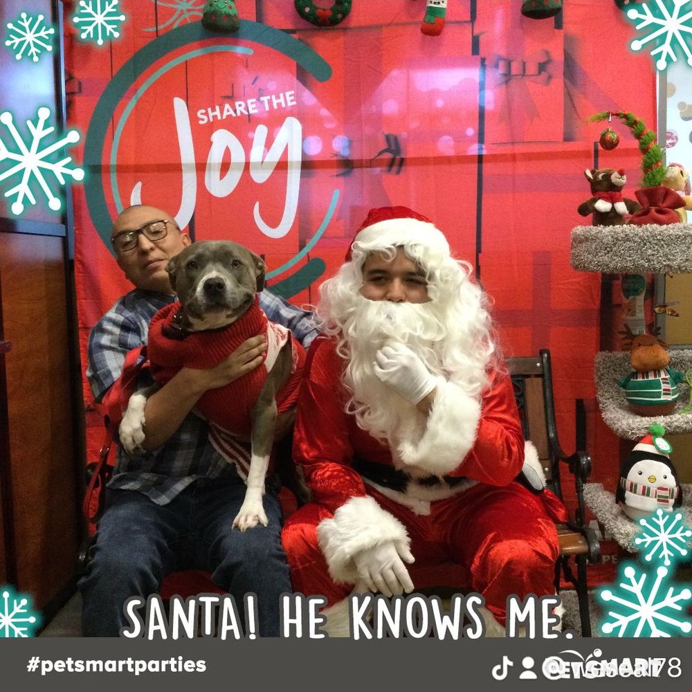 Santa picture