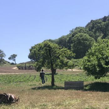 Riley's Farm - Fruits & Veggies Near Me - Oak Glen, California Riley's Farm - Fruits & Veggies Near Me - Oak Glen, California
