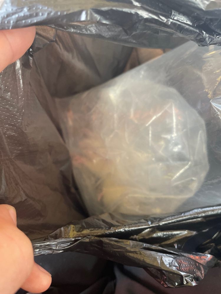 PURRFECT PETS Updated September 2024 10 Reviews 1914 Mott Ave