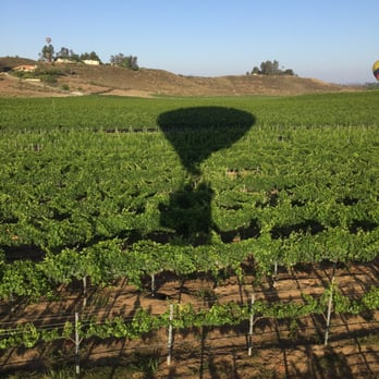 Grape Escape Balloon Adventures - Tours Near Me - Temecula, California
