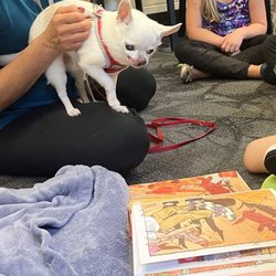 Bucks County Free Library - Reading to the dogs event at the library . Every other Friday