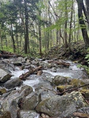 Rainbow Falls Trail by null