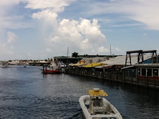 Deborah Lamb - Naples Realtor