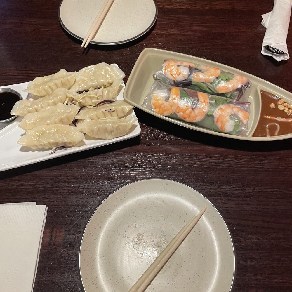 Pho Thai Nam Restaurant - Chicken dumplings & spring rolls. Soo good - Thai Near Me - East Norriton, Pennsylvania