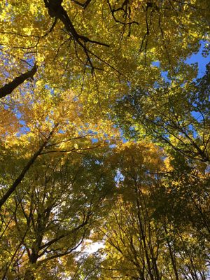 Miners Falls by null