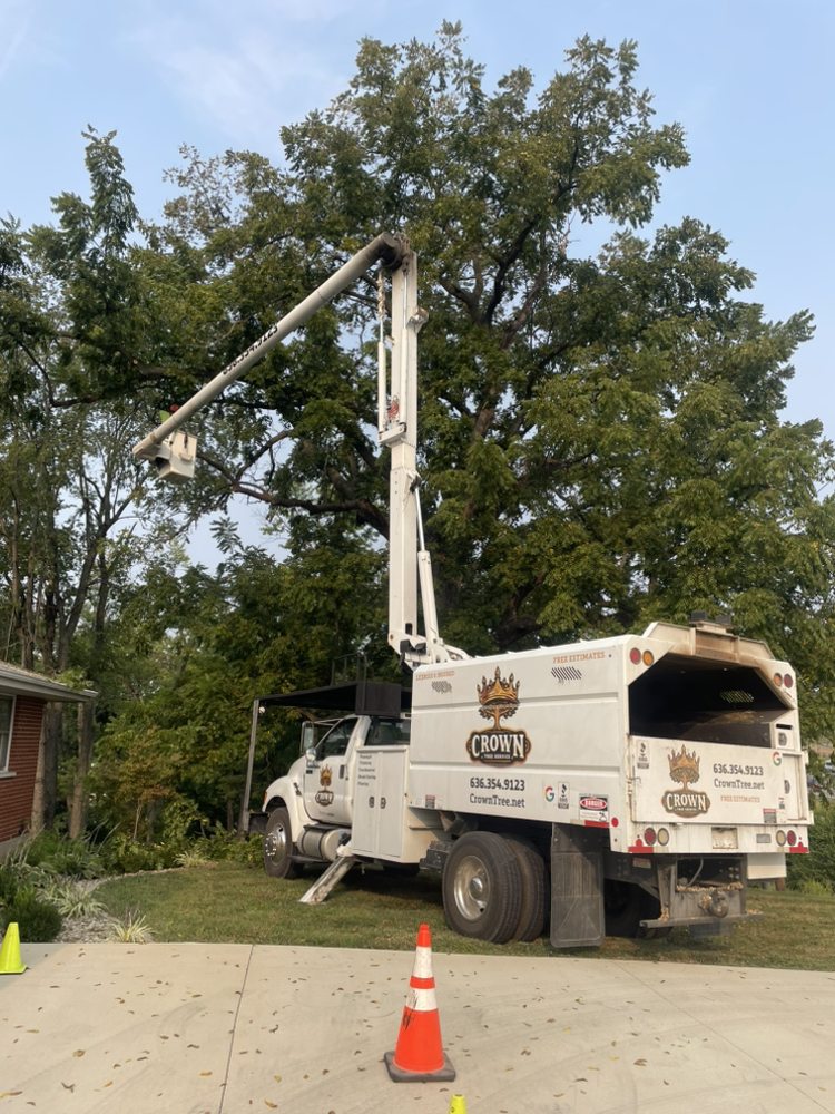 Crown Tree Service - tree service in Saint Charles, MO