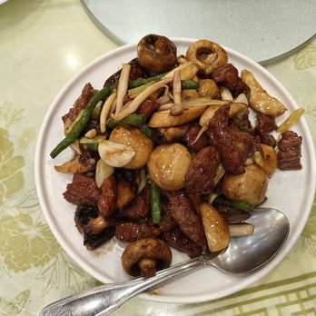 Yan Peninsula - Stir fried beef with mixed mushrooms $26.95 (7/12/25) - Seafood Near Me - Millbrae, California