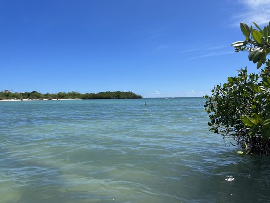 Playa La Jungla by null