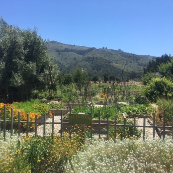 Earthbound Farm Stand - Organic Stores Near Me - Carmel, California Earthbound Farm Stand - Organic Stores Near Me - Carmel, California