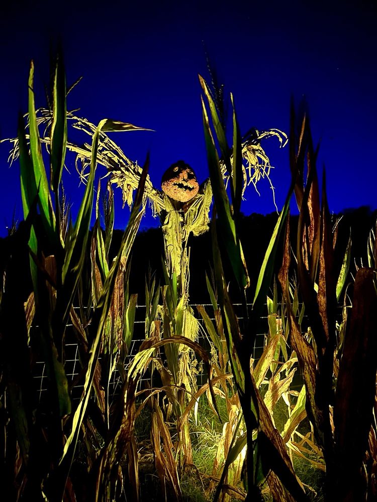 Social spots from RED VEIN Haunt