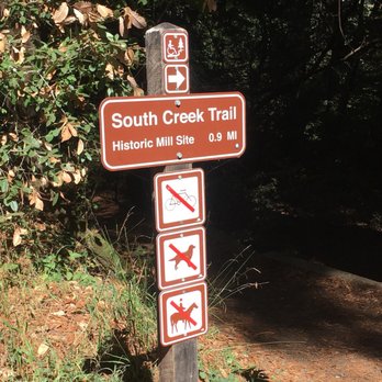 Samuel P Taylor State Park - Parks Near Me - Lagunitas, California Samuel P Taylor State Park - Parks Near Me - Lagunitas, California