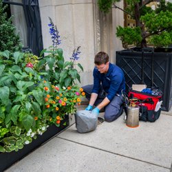 Commercial Pest Services - Prevention & Control