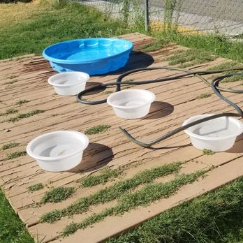 Off the leash Dog Park - Kiddie pool & water dishes - Dog Parks Near Me - Yuba City, California Off the leash Dog Park - Kiddie pool & water dishes - Dog Parks Near Me - Yuba City, California