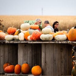 Solsma’s Punkin Patch And Fireworks - Pumpkins galore