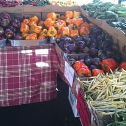 Bautista Ranch