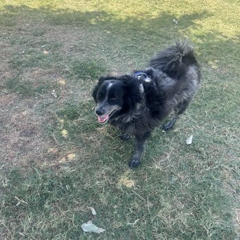 Love's Travel Stop - Dog park - Gas Stations Near Me - Troy, Texas Love's Travel Stop - Dog park - Gas Stations Near Me - Troy, Texas