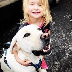 Four Paws Hotel and Day Resort