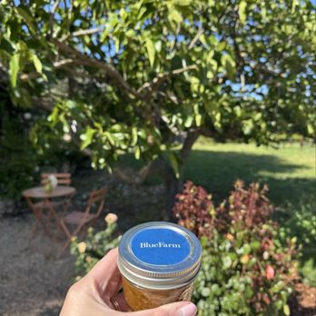 Blue Farm - Homemade Fig Spread - Wine Tours Near Me