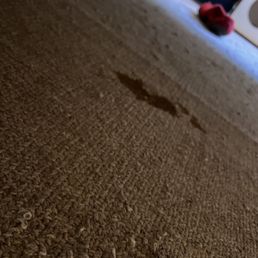 Before (Bed Room - Cat Related Stains) Before (Bed Room - Cat Related Stains)