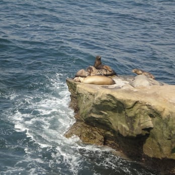La Jolla Cove - Parks Near Me - La Jolla, California La Jolla Cove - Parks Near Me - La Jolla, California