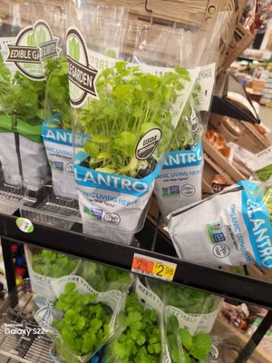 Walmart Supercenter by null