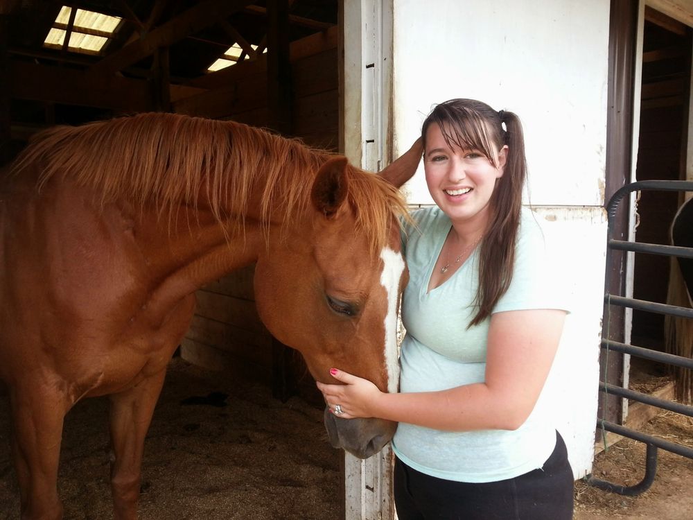 ARDENT EQUESTRIAN Lovettsville, Virginia Horseback Riding Phone