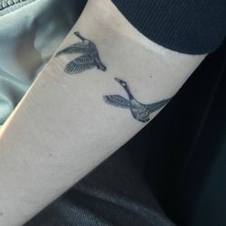 Shelter Tattoo - Healed tattoo