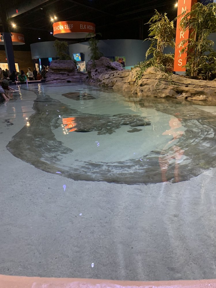 LIVING SHORES AQUARIUM 44 Photos & 24 Reviews 850 NH Rte 16, Glen