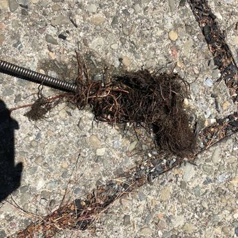 Infinity Plumbing - the roots in the line - Plumbing Near Me