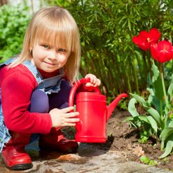 Northview Montessori Preschool and Kindergarten - Gardening