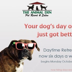 The Animal Den - Daytime Retreat!