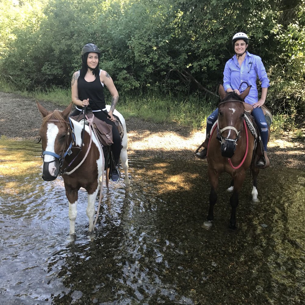 Leghorn Ranch - Horseback Riding Near Me - Pitt Meadows, British Columbia Leghorn Ranch - Horseback Riding Near Me - Pitt Meadows, British Columbia
