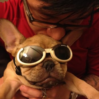DC Optics - Ollie tries on her new sunglasses. - Eyewear & Opticians Near Me - Brooklyn, New York DC Optics - Ollie tries on her new sunglasses. - Eyewear & Opticians Near Me - Brooklyn, New York