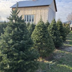 Howard Tree Farm - Howard Tree Farm would love to be a part of your Christmas Tradition this year!