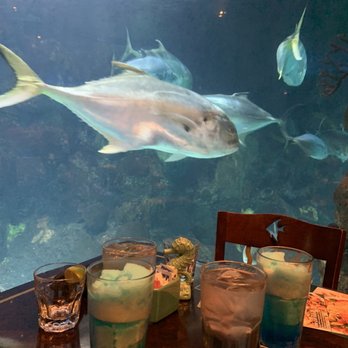 Dive Lounge - Seating next to aquarium - Lounges Near Me - Denver, Colorado Dive Lounge - Seating next to aquarium - Lounges Near Me - Denver, Colorado