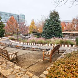 Duke University Hospital - Duke Christmas Tree