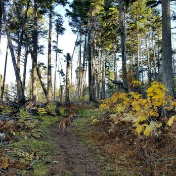 Gull Rock Trail - Hiking Near Me - Hope, Alaska