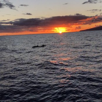 Trilogy Excursions - Not kidding. - Snorkeling Near Me - Lahaina, Hawaii
