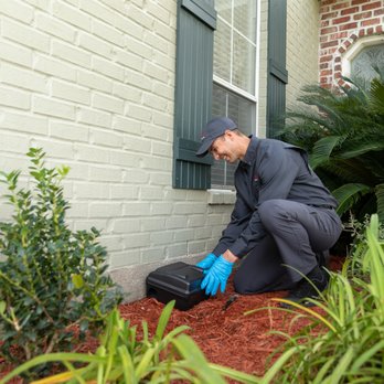 Ehrlich Pest Control - Ehrlich technicians are highly proficient at identifying rodent infestations in homes or businesses. - Pest Control Near Me - Ashland, Virginia Ehrlich Pest Control - Ehrlich technicians are highly proficient at identifying rodent infestations in homes or businesses. - Pest Control Near Me - Ashland, Virginia