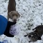 Photo of petCINC