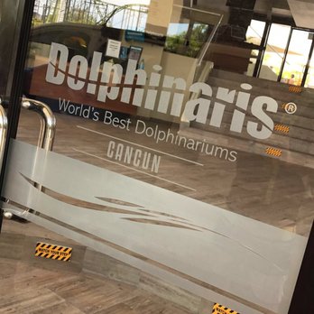 Dolphinaris - Arts & Entertainment Near Me - Cancún, ROO