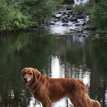 Gray Eagle Lodge - waterfall at gray eagle lodge - Hotels Near Me - Graeagle, California