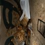 Photo of Golden Wok