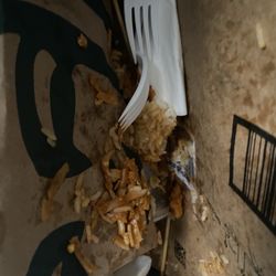 Golden Wok - Dinner in the trash can, photo evidence for the owner