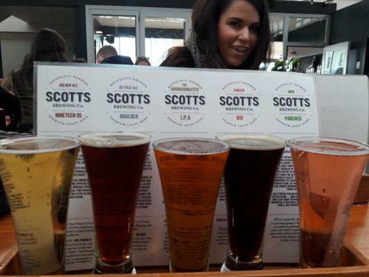 Scotts Brewing Co. by null