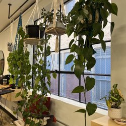 Seven Four Seven Salon - Plant space adjacent to styling chairs